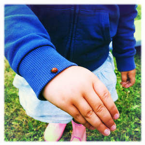 Hip 335897124.133353