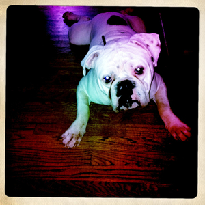 Hip 331905424.879308