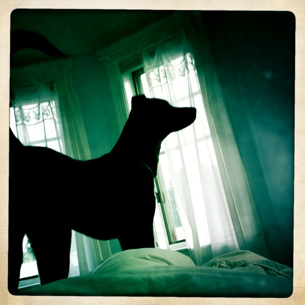 Hip 335971147.080000