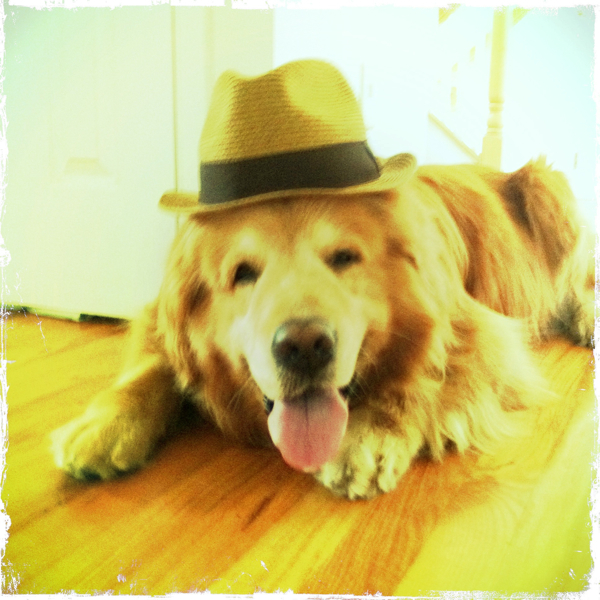 Hip 335973249.210246