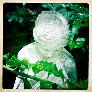 Hip 334950008.182047