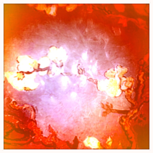 Hip 335977300.273070