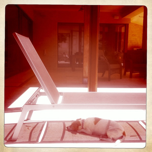 Hip 320987231.709662