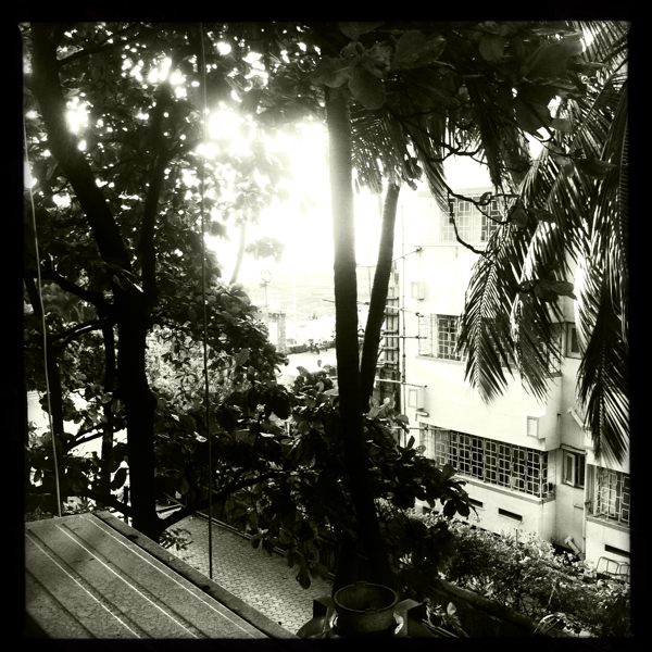 Hip 335537680.565659