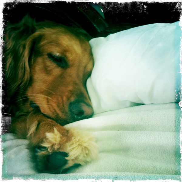 Hip 335978519.852746