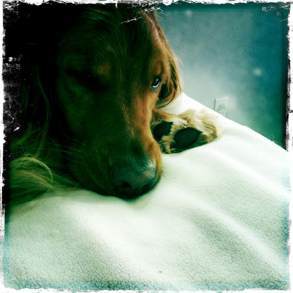 Hip 335286577.826792