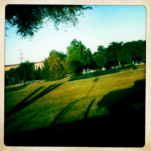 Hip 307409475.979544