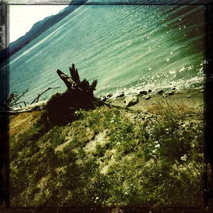 Hip 335293186.251147