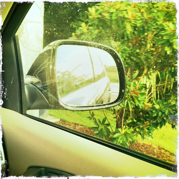 Hip 335401694.235192