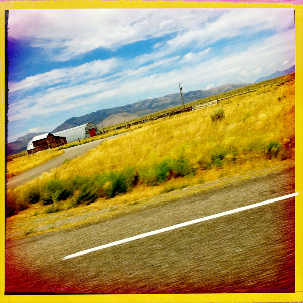 Hip 335124872.134222