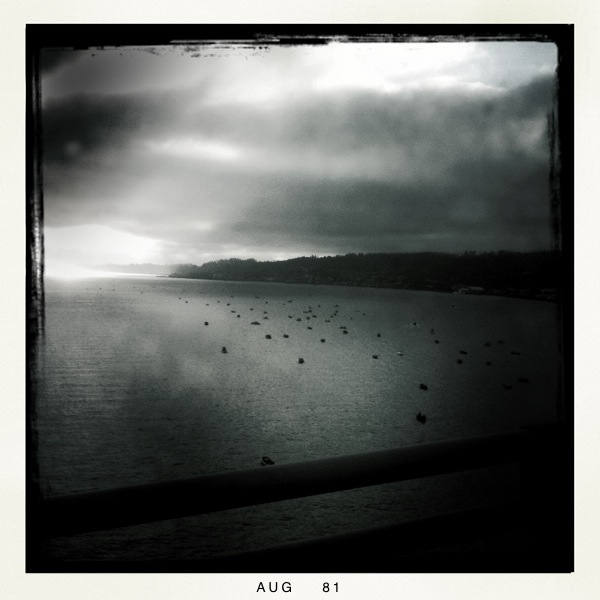 Hip 335975371.401846