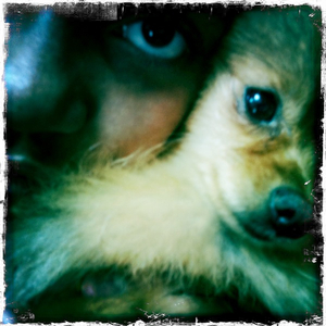 Hip 335984217.557800