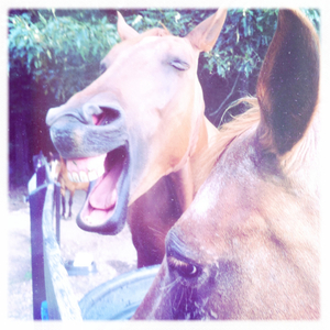 Hip 332638095.396346