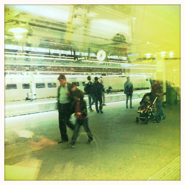 Hip 335984614.900695