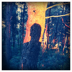 Hip 331755683.048469