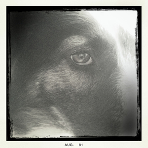 Hip 334912067.278806