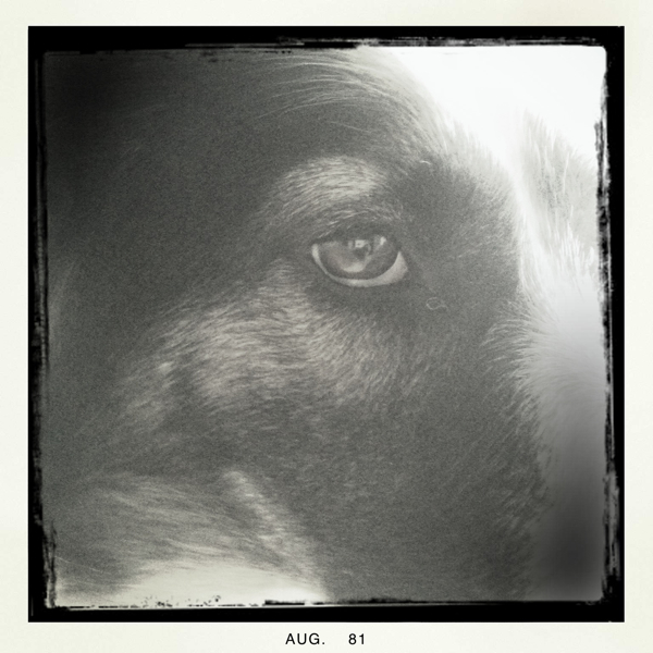 Hip 334912067.278806