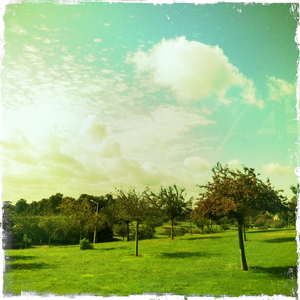 Hip 335870165.299570