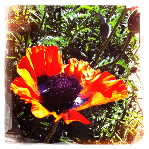 Hip 330106538.441229