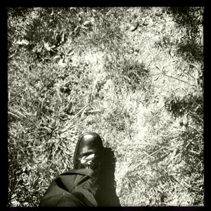 Hip 335991953.704305