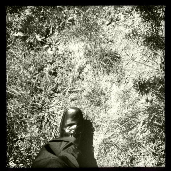 Hip 335991953.704305