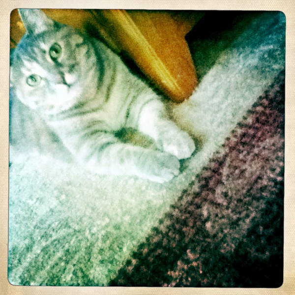 Hip 335992282.536872