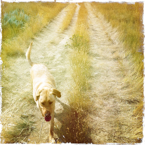 Hip 335984670.767799