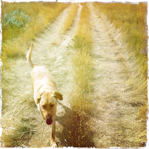 Hip 335984670.767799