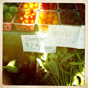 Hip 335890030.980849