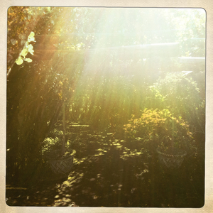 Hip 335100118.330856