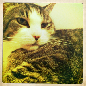 Hip 335996167.988678