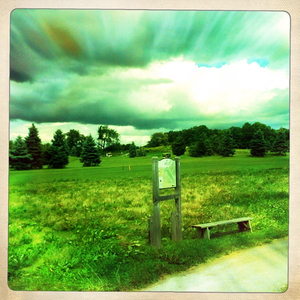 Hip 335986509.845384