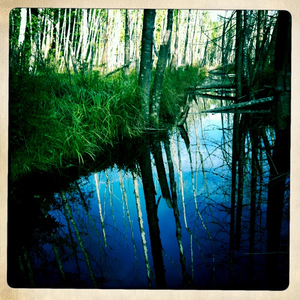 Hip 335925435.841578