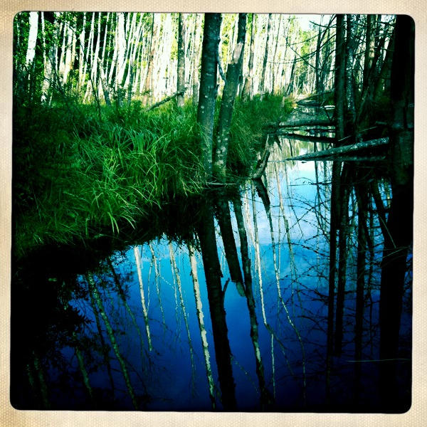 Hip 335925435.841578