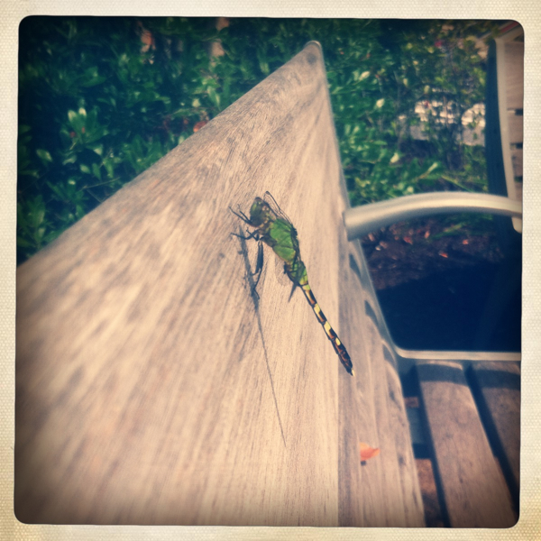 Hip 335899835.626804