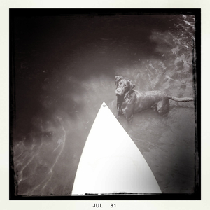 Hip 333743303.439572