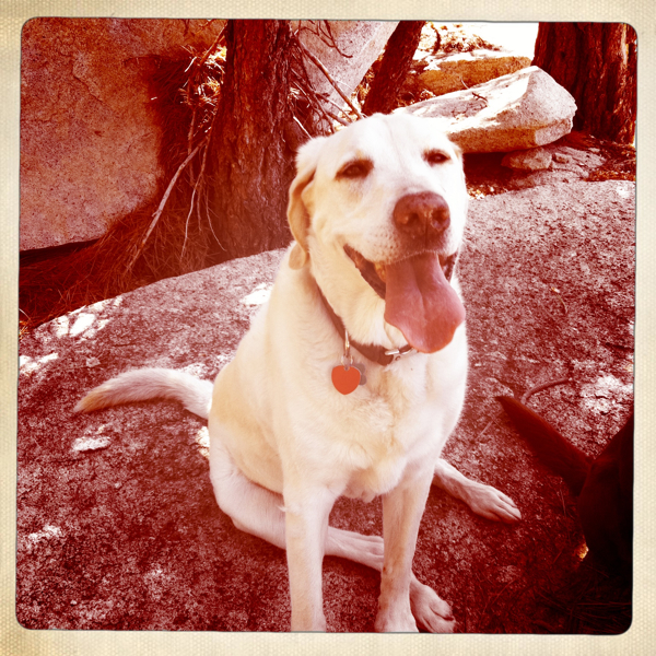 Hip 335997322.191565