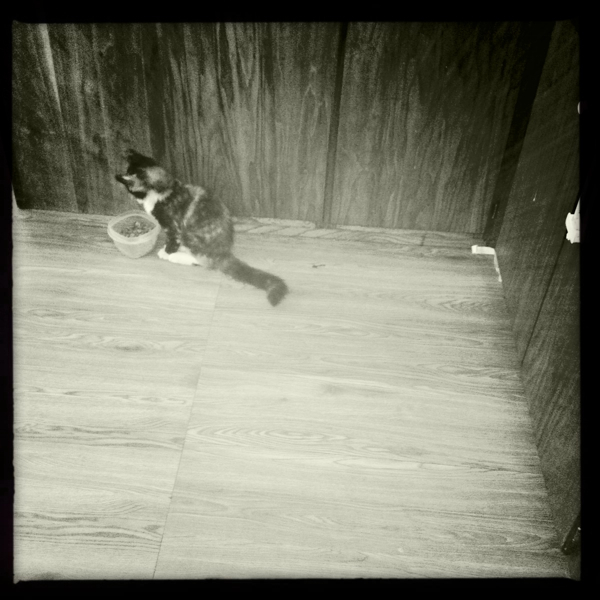 Hip 335467769.665144