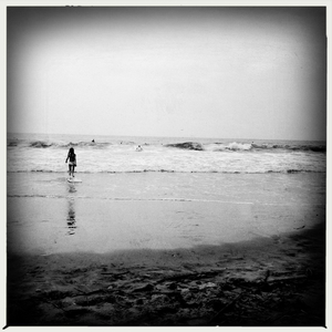 Hip 335552553.311088