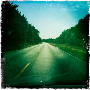 Hip 336000661.114557