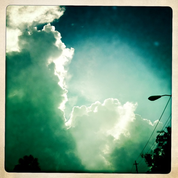 Hip 336000803.477947