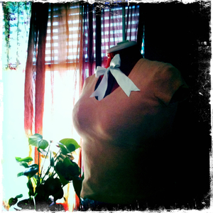 Hip 336003647.253233