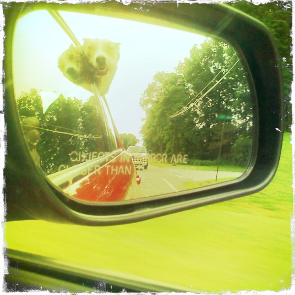 Hip 335312135.496087