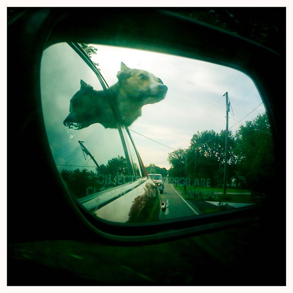 Hip 335312172.293920