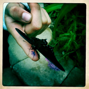 Hip 334787139.970326