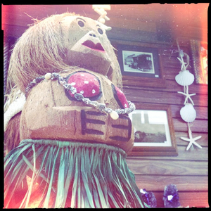 Hip 335843370.320521