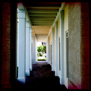 Hip 334350691.790348