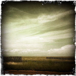 Hip 335644341.954932