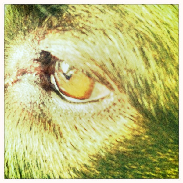 Hip 336010004.386122