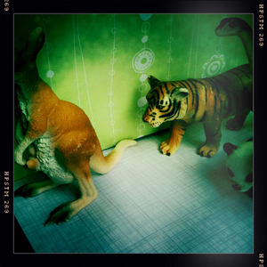 Hip 335580614.727163